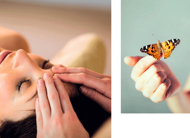 massage du front et papillon posé sur le doigt d'une personne